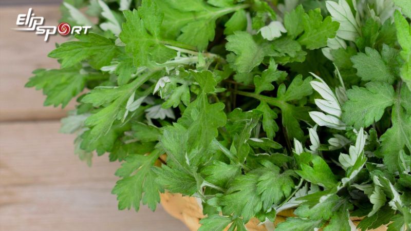 D&ugrave;ng ngải cứu chữa gi&atilde;n d&acirc;y chằng lưng