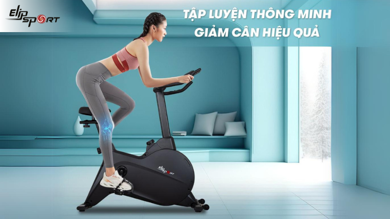 Jiun88 tải ứng dụng ELIP Alexander