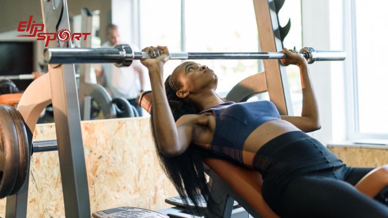 Bench press tập trung v&agrave;o việc định h&igrave;nh cơ lưng, cơ tam đầu, cơ nhị đầu v&agrave; cơ delta trước