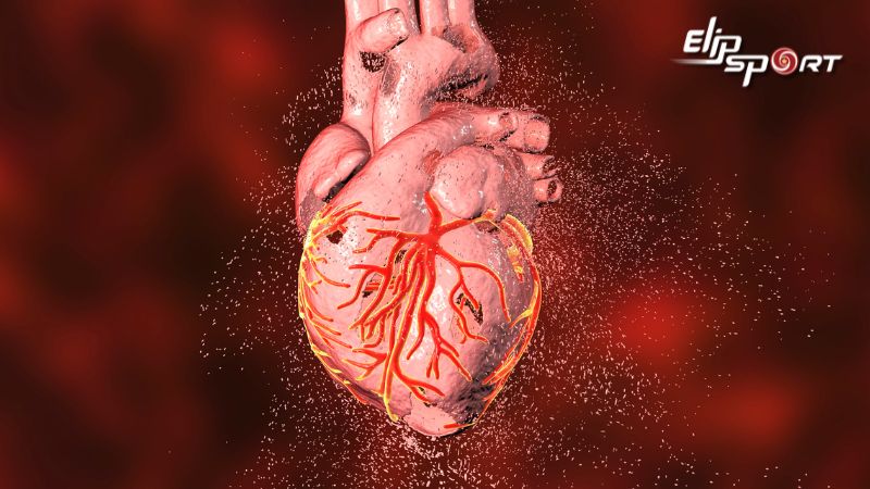 Tim dễ bị mệt v&agrave; rối loạn