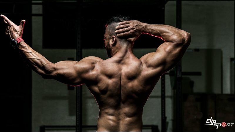Tầm quan trọng của những b&agrave;i tập lưng trong thể h&igrave;nh
