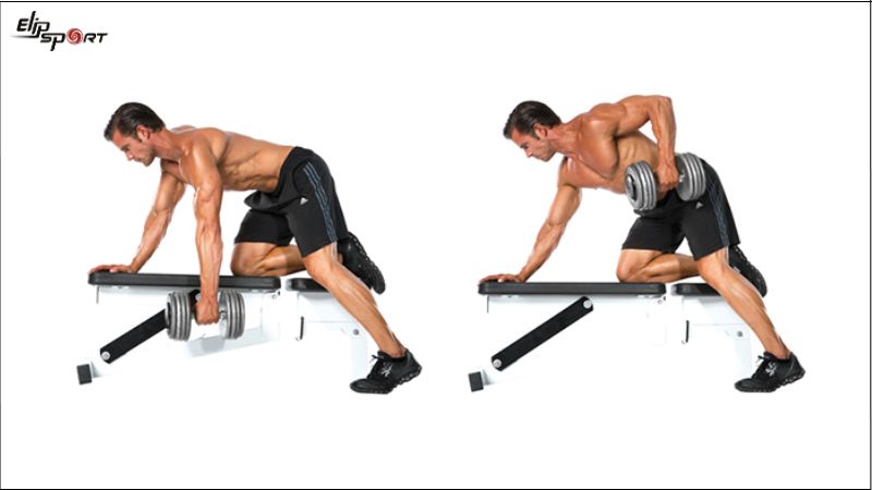 Single One-Arm Dumbbell Row với ghế d&agrave;i