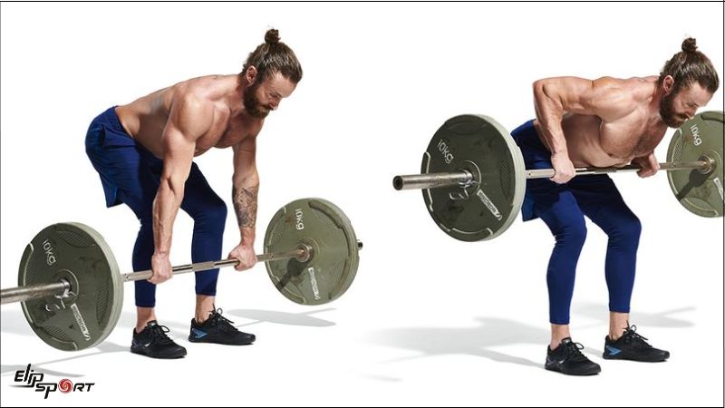 Bent Over Barbell