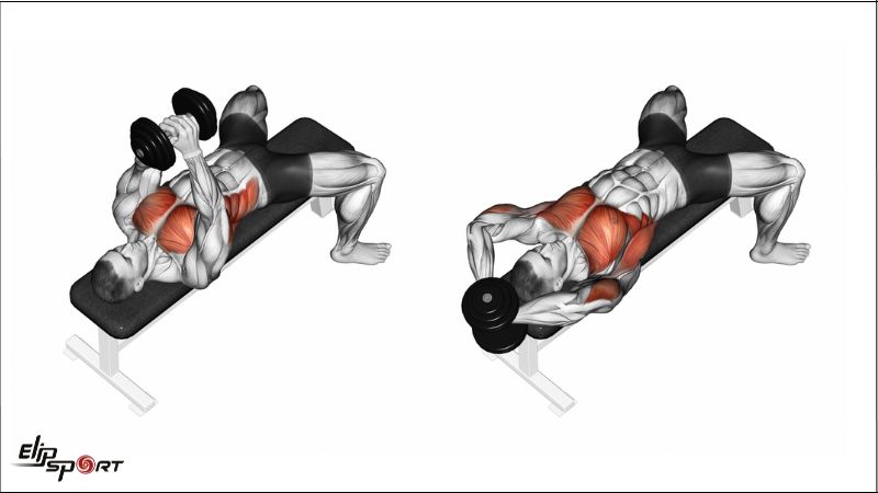 Decline Dumbbell Pullover