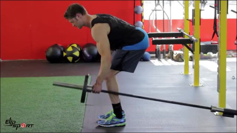 Bent Over One Arm Long Bar Row
