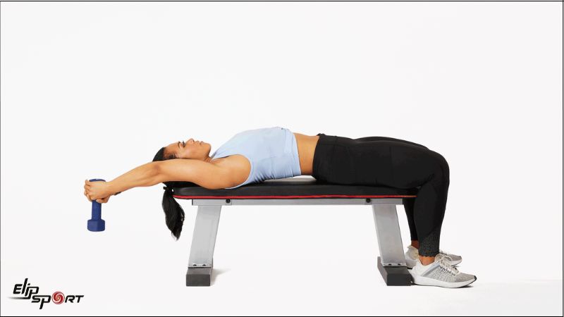 Dumbbell Pullover