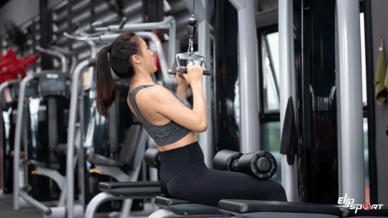Close Grip Cable Pull Down