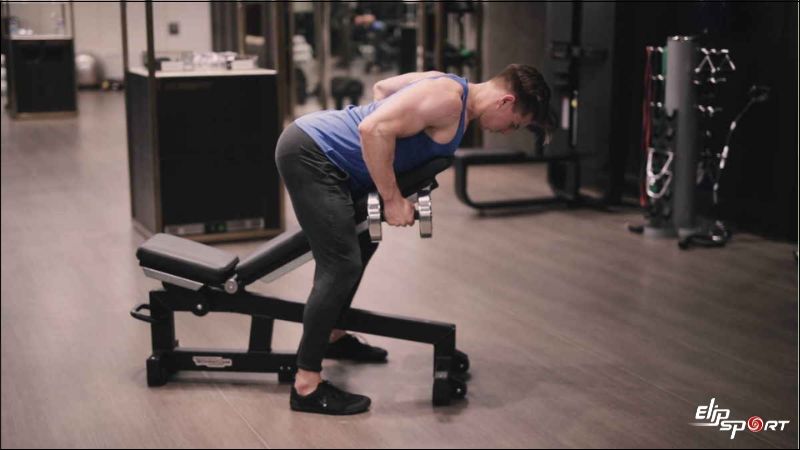 B&agrave;i tập lưng gym Chest-Supported Dumbbell Row với tạ đơn