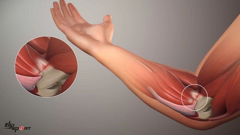 Khuỷu tay l&agrave; phần rất quan trọng