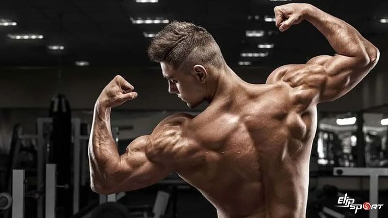 Siết cơ vai khi tập luyện&nbsp;
