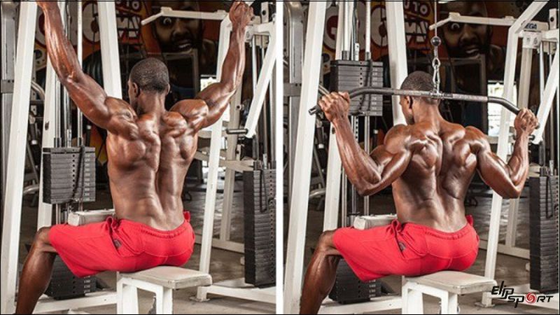 Grip Pull Down với m&aacute;y k&eacute;o c&aacute;p