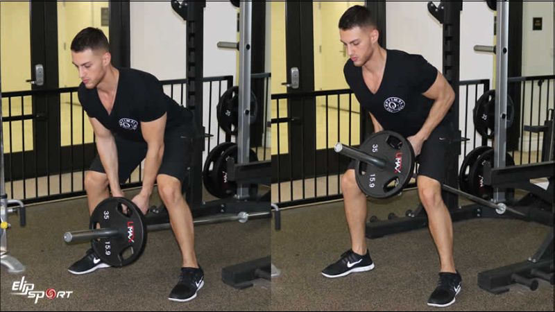 Standing T- Bar Row