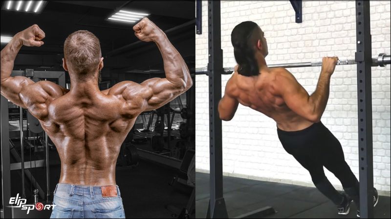 Australian Pull Ups