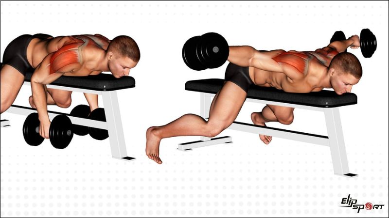 Lying Lateral Raise