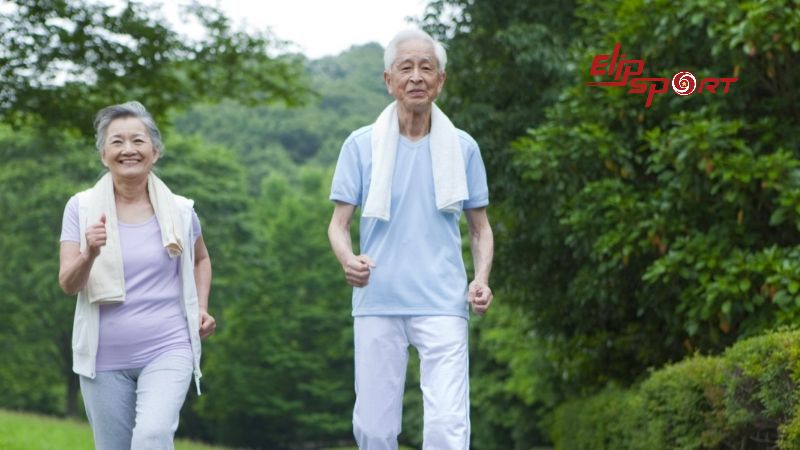 M&aacute;y massage xung điện sử dụng cho c&aacute;c đối tượng tr&ecirc;n 60 tuổi