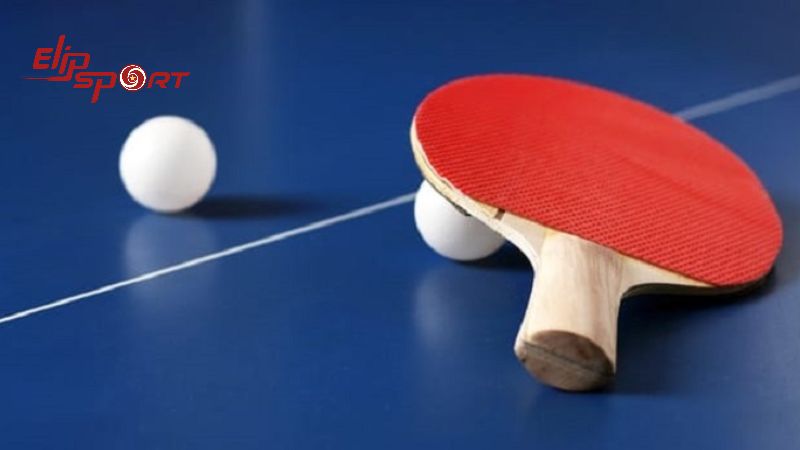 Việc lựa chọn cốt vợt cũng v&ocirc; c&ugrave;ng quan trọng