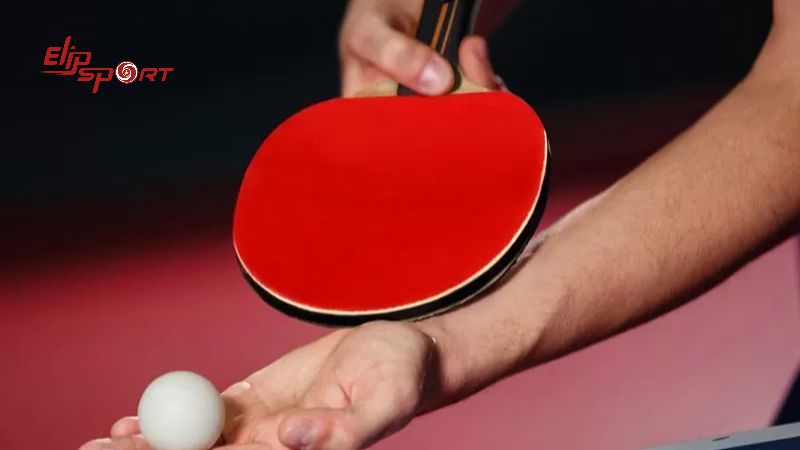 Lựa chọn vợt b&oacute;ng b&agrave;n ph&ugrave; hợp với tr&igrave;nh độ bản th&acirc;n