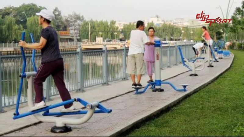 Lựa chọn m&aacute;y tập luyện ph&ugrave; hợp với chức năng