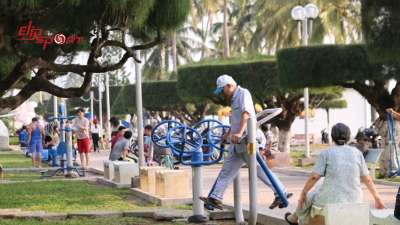 Việc lựa chọn m&aacute;y tập c&ocirc;ng vi&ecirc;n c&oacute; chất lượng tốt cũng rất quan trọng