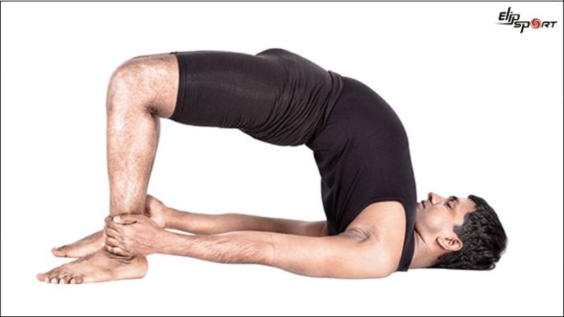 B&agrave;i tập yoga tư thế c&acirc;y cầu