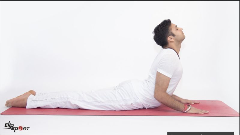 B&agrave;i tập yoga tư thế rắn hổ mang