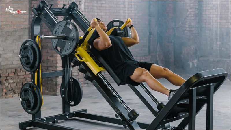 Bài t&acirc;̣p Hack Squat
