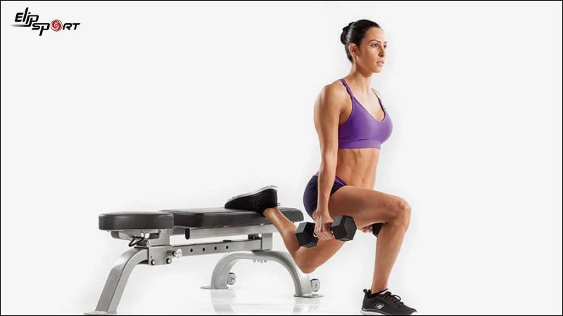 Bài t&acirc;̣p Dumbbell Single Leg Split Squat