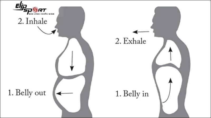C&aacute;ch thở bẳng bụng đ&uacute;ng phương ph&aacute;p