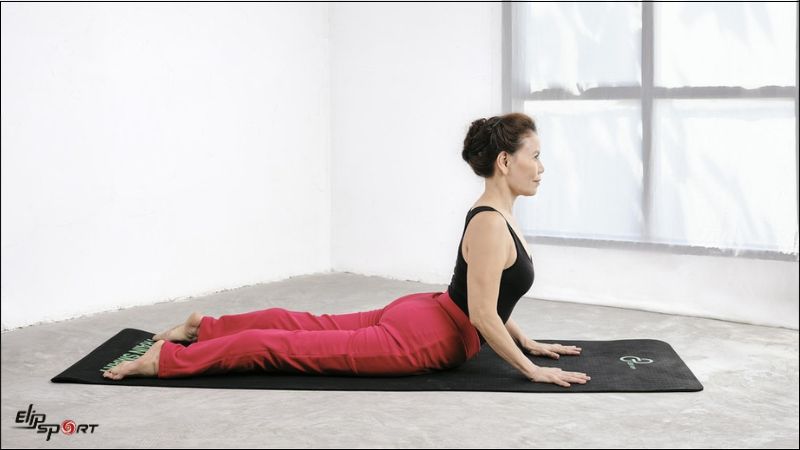 B&agrave;i tập tư thế rắn hổ mang