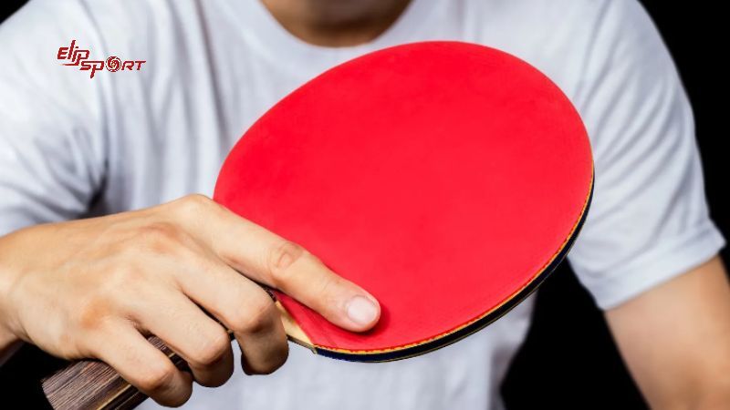 C&aacute;ch chọn vợt cho người chơi c&oacute; lối đ&aacute;nh ph&ograve;ng thủ