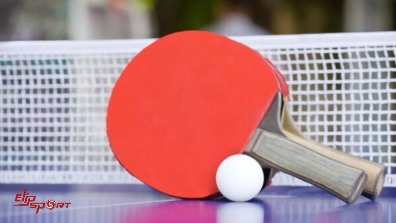 Kinh nghiệm chọn vợt b&oacute;ng b&agrave;n v&ocirc; c&ugrave;ng quan trọng