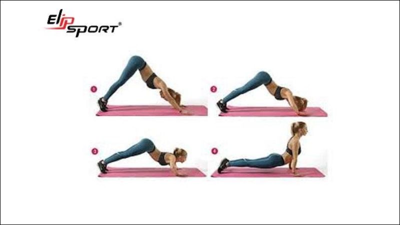 b&agrave;i tập plank giảm mỡ bụng cho nữ