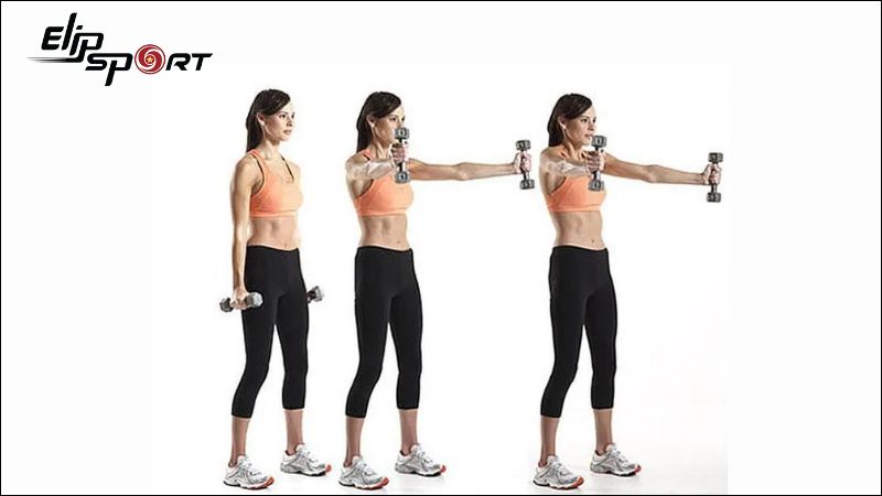 B&agrave;i tập n&acirc;ng tạ đơn ngang gi&uacute;p thu nhỏ bắp tay
