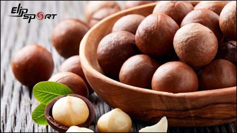 Hạt macca &iacute;t đường, carbs v&agrave; gi&agrave;u chất xơ
