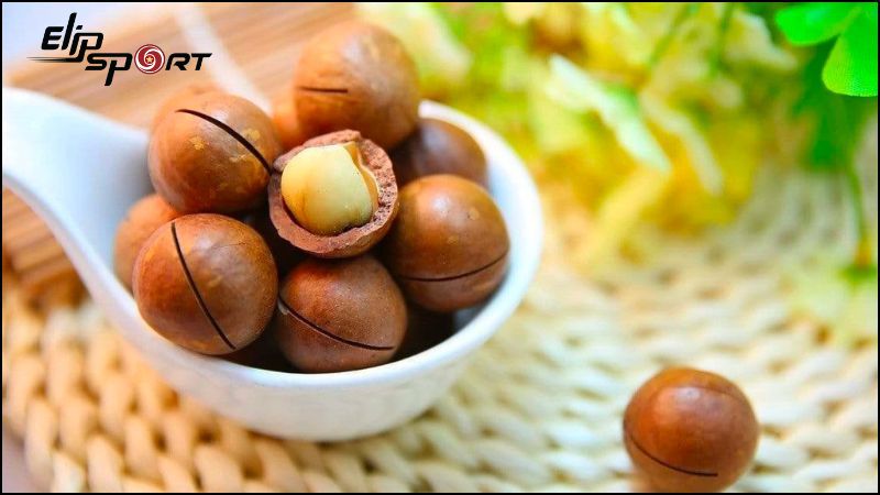 100g hạt macca chứa khoảng 718 calo