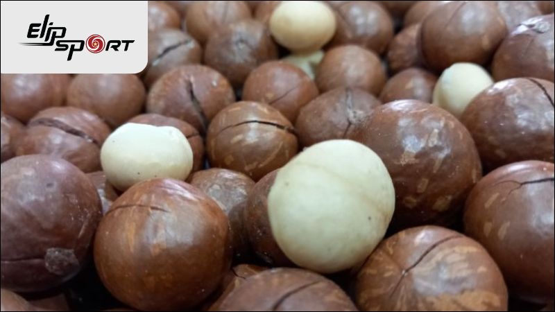 Với lượng calo kh&aacute; lớn, việc ăn hạt macca c&oacute; thể l&agrave;m tăng c&acirc;n nếu sử dụng qu&aacute; mức