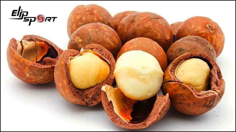 Chất xơ trong hạt macca hỗ trợ đường ruột