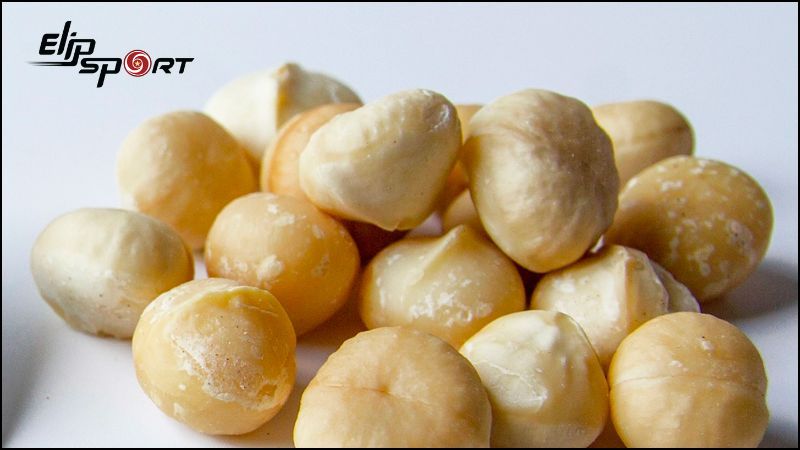 C&aacute;ch l&agrave;m sữa hạt Macca giảm c&acirc;n