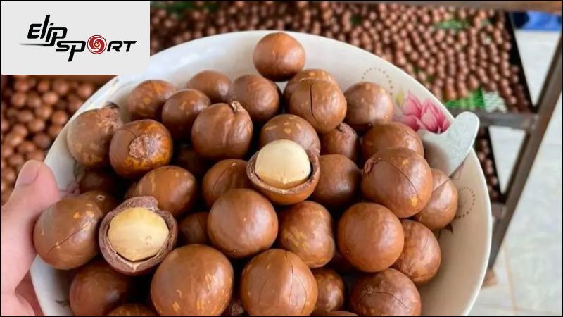 Thời điểm tốt nhất để ti&ecirc;u thụ hạt macca l&agrave; v&agrave;o buổi s&aacute;ng