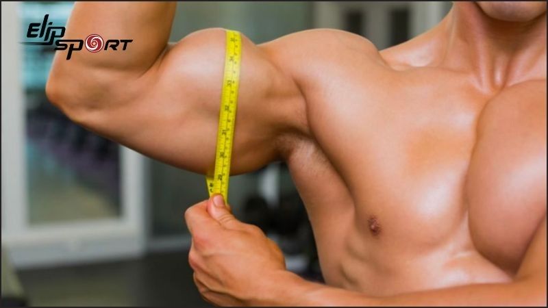 Gi&uacute;p x&acirc;y dựng cơ bắp