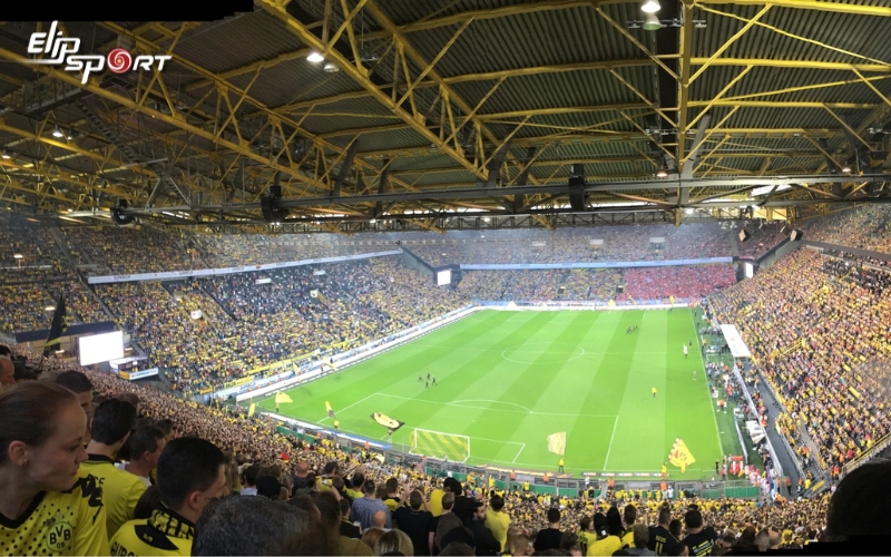 S&acirc;n vận động Signal Iduna Park v&agrave; 10 điều th&uacute; vị bạn chưa biết