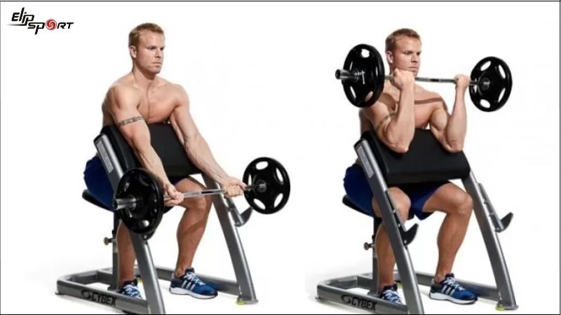 B&agrave;i tập Preacher Curl