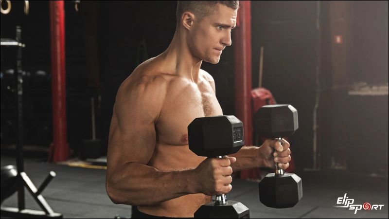B&agrave;i tập Hammer Curl sử dụng tạ đơn