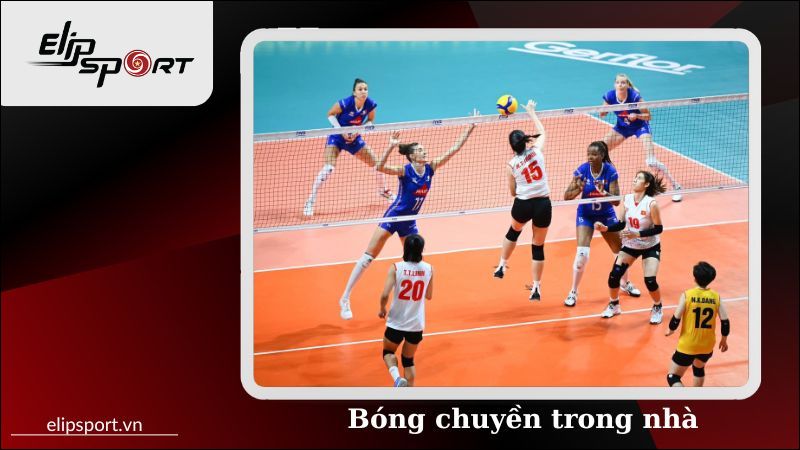 Cuộc thi đấu b&oacute;ng chuyền trong nh&agrave;