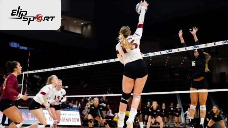 Vị tr&iacute; Outside hitter