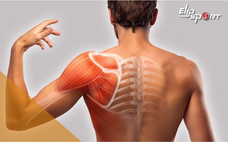 Cải thiện t&igrave;nh trạng vi&ecirc;m trong cơ thể