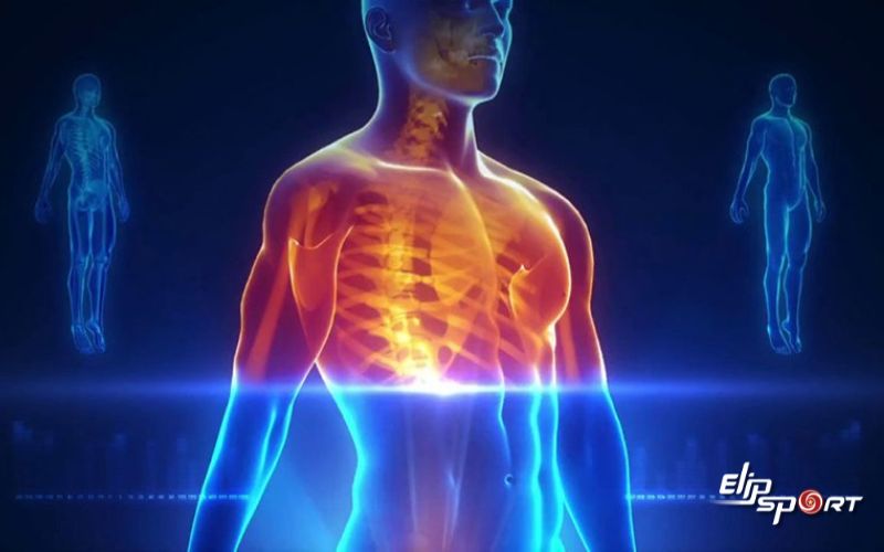Scan-body l&agrave; một c&ocirc;ng nghệ được t&iacute;ch hợp trong c&aacute;c m&aacute;y massage to&agrave;n th&acirc;n cao cấp