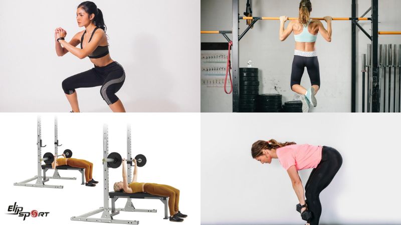 B&agrave;i tập sức mạnh cơ bản l&agrave; nền tảng để x&acirc;y dựng cơ bắp vững chắc