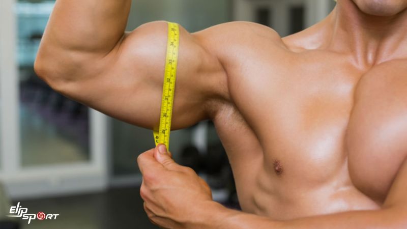 h&atilde;y d&agrave;nh sự ch&uacute; &yacute; v&agrave;o nh&oacute;m cơ m&agrave; bạn đang luyện tập