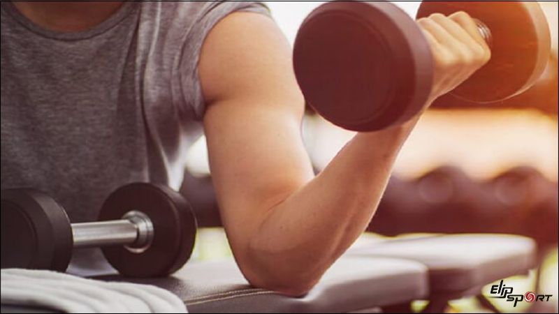 Luyện tập xen kẽ c&aacute;c nh&oacute;m cơ